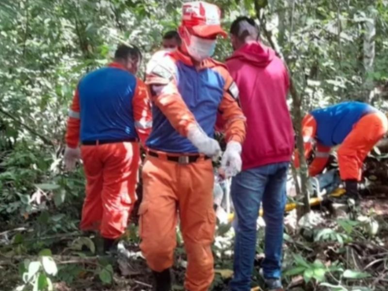 Grávida é encontrada morta em área de mata no Amazonas