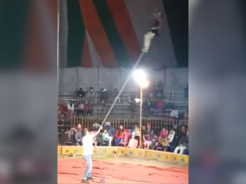 Acrobata sofre estrangulamento durante performance em circo