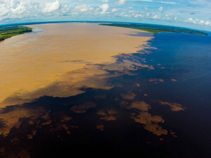 Com apoio do Governo do Amazonas, Manaus recebe evento nacional na área de turismo