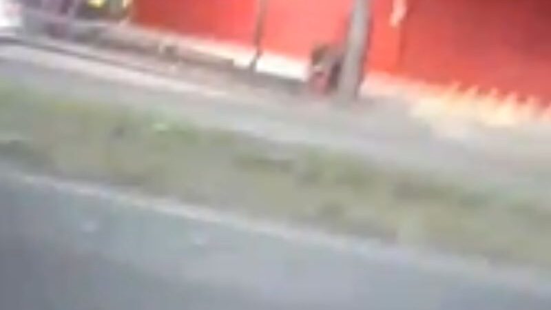 Pistoleiro estoura cabeça de homem na bala em Manaus