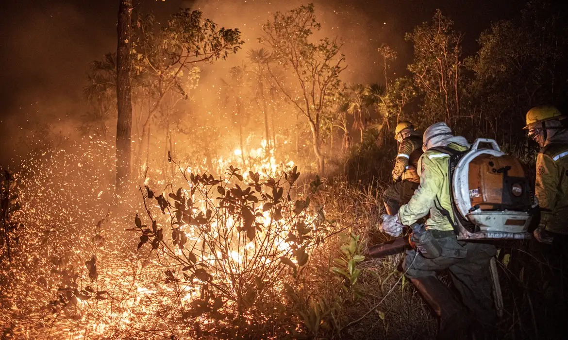 Incêndios já destruíram 11,39 milhões de hectares no Brasil só neste ano