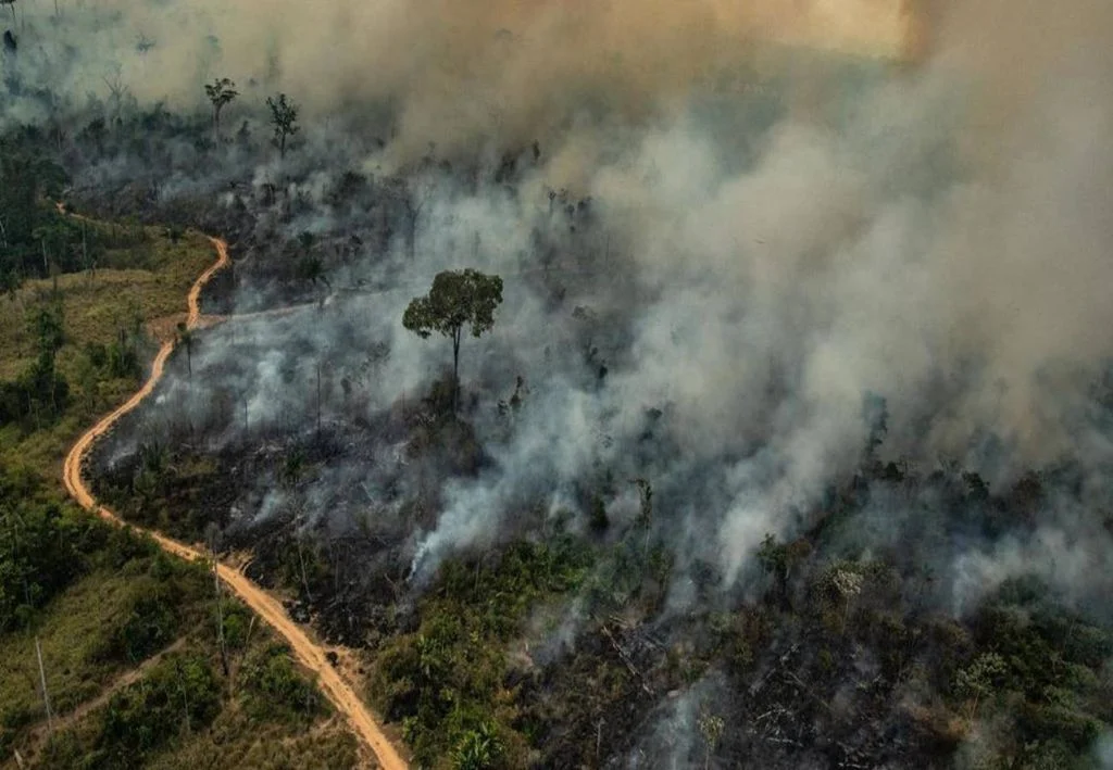 Ministro determina prazo para que estados da Amazônia expliquem focos de queimadas