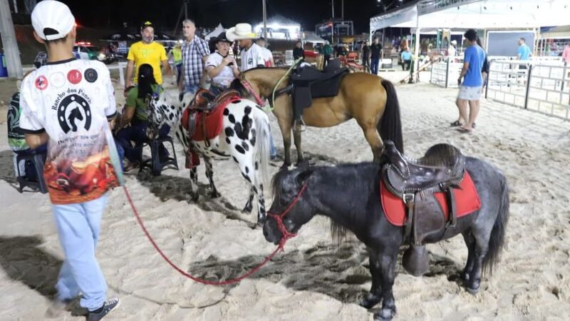 Público infantil terá programação especial