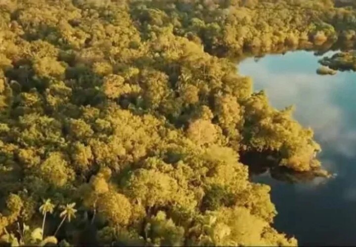 Arqueólogos descobrem cidade colonial portuguesa e estruturas inéditas na Amazônia