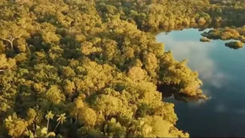 Arqueólogos descobrem cidade colonial portuguesa e estruturas inéditas na Amazônia