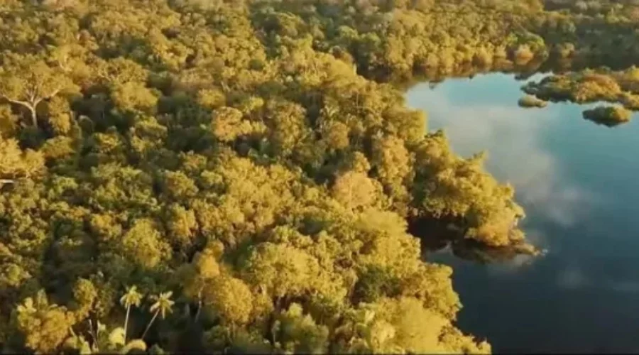 Arqueólogos descobrem cidade colonial portuguesa e estruturas inéditas na Amazônia