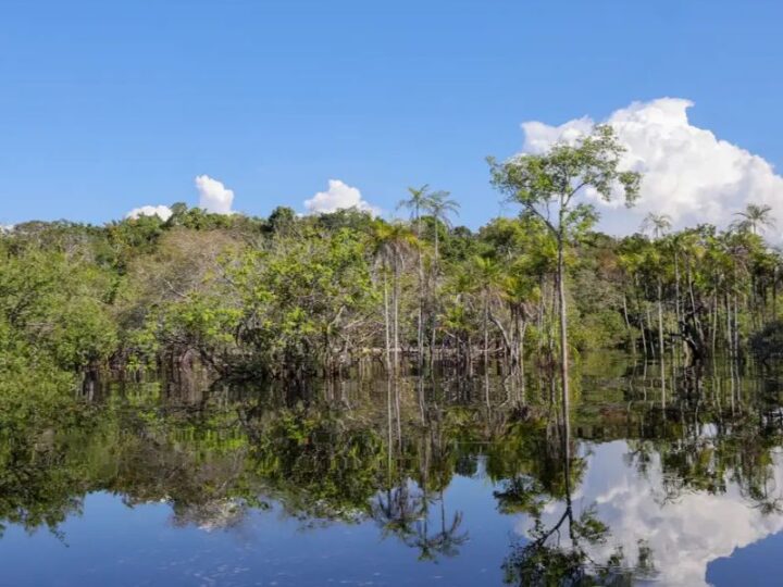 Rio Negro volta a descer e seca em Manaus persiste