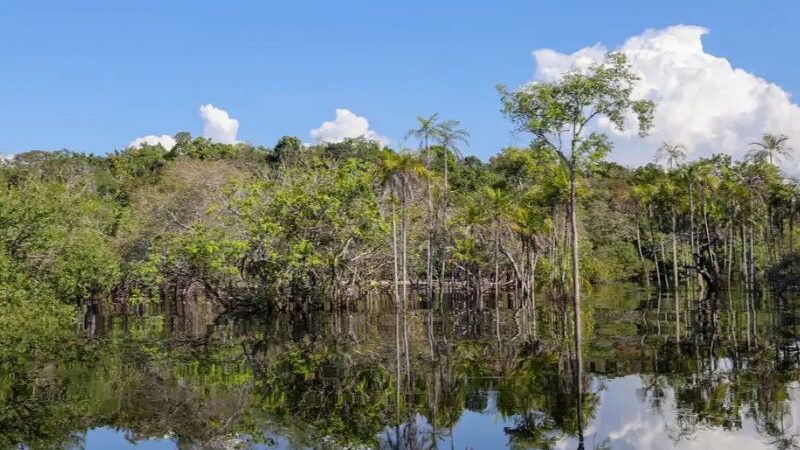 Rio Negro volta a descer e seca em Manaus persiste