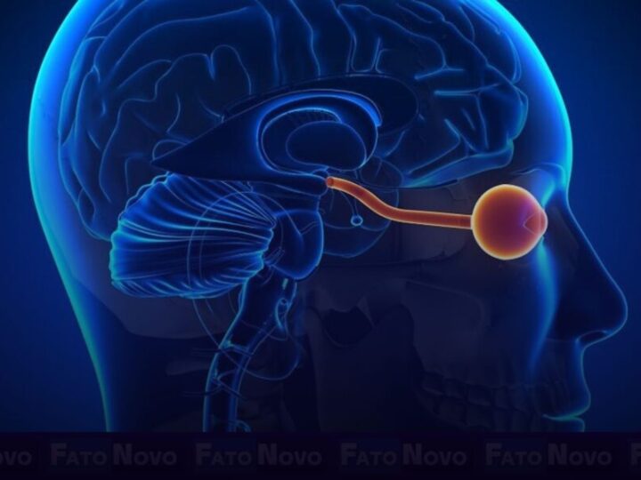 Saiba mais sobre a neuromielite óptica, doença autoimune que afeta principalmente mulheres negras – Fato Novo