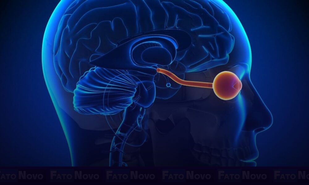 Saiba mais sobre a neuromielite óptica, doença autoimune que afeta principalmente mulheres negras – Fato Novo