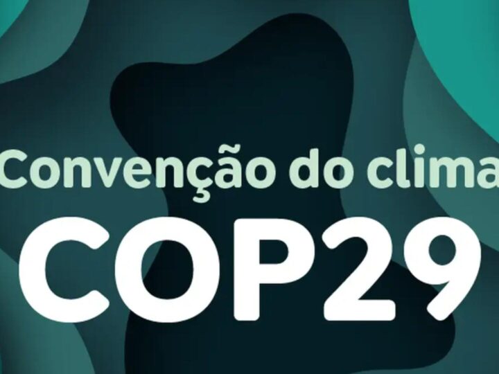 Ambientalistas dizem que acordo da COP29 de US$ 300 bilhões por ano é insuficiente