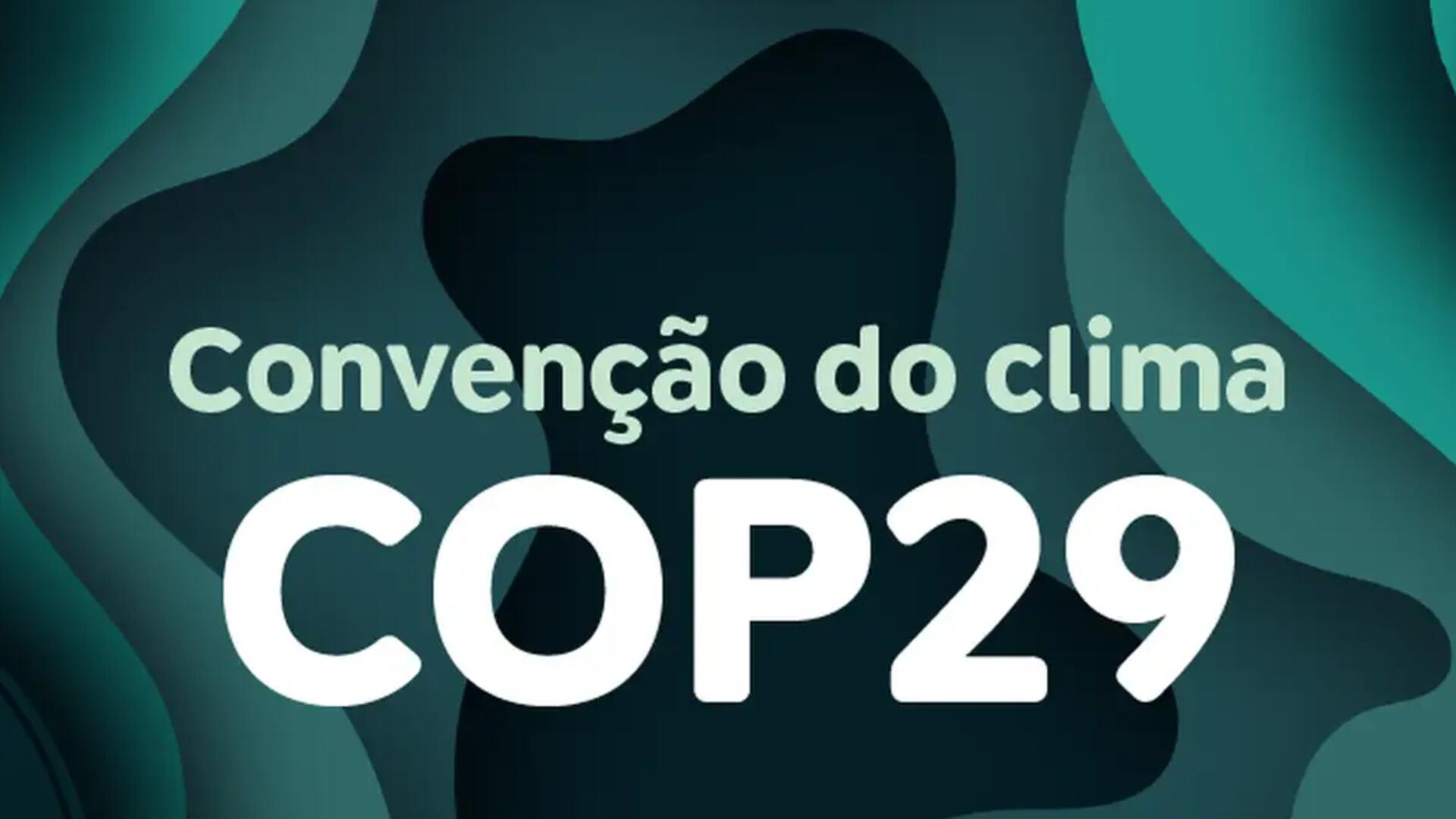 Ambientalistas dizem que acordo da COP29 de US$ 300 bilhões por ano é insuficiente