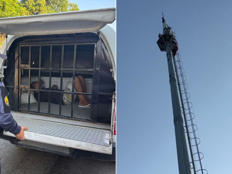 Homem tenta roubar fios e fica preso em torre de Manaus