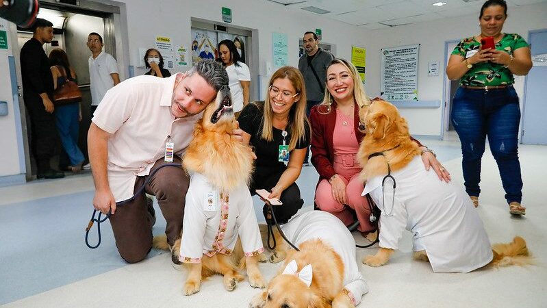 Cães terapeutas levam alegria e contribuem para a recuperação de pacientes no Complexo Hospitalar Sul
