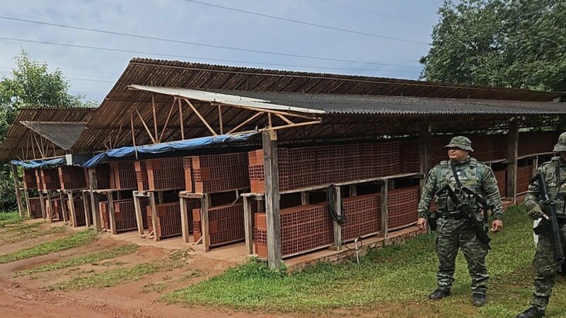 Ipaam e Batalhão Ambiental embargam três indústrias de cerâmicas ilegais na Rodovia AM-070