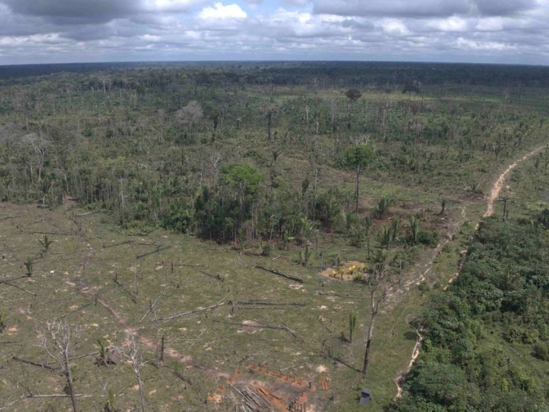 Responsável por desmatar 540 hectares no AM é multado em R$ 5,4 mi