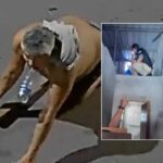 Vídeo mostra queda de 'Velho da Lancha' ao esconder arma que usou para matar casal em Manaus