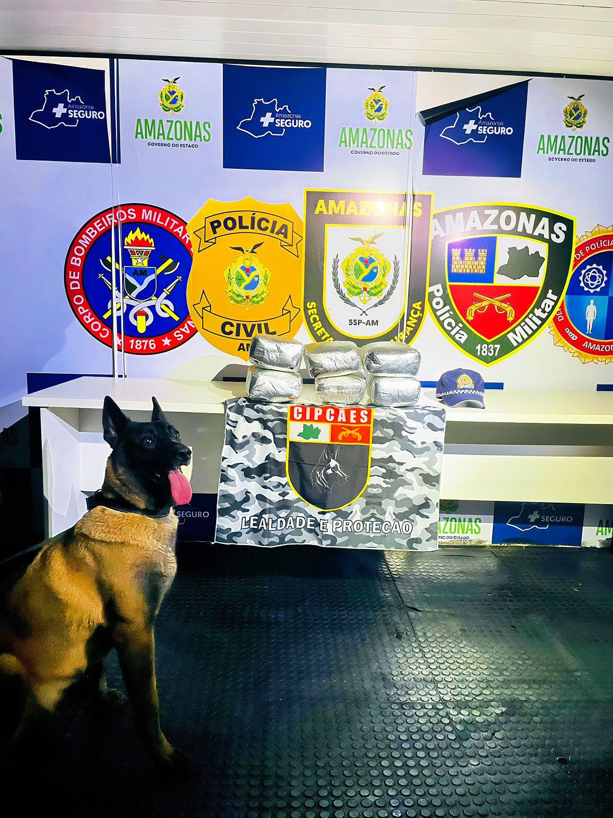 Base Arpão 3: Em duas ações distintas, PMAM apreende mais de 26 quilos de drogas em embarcações