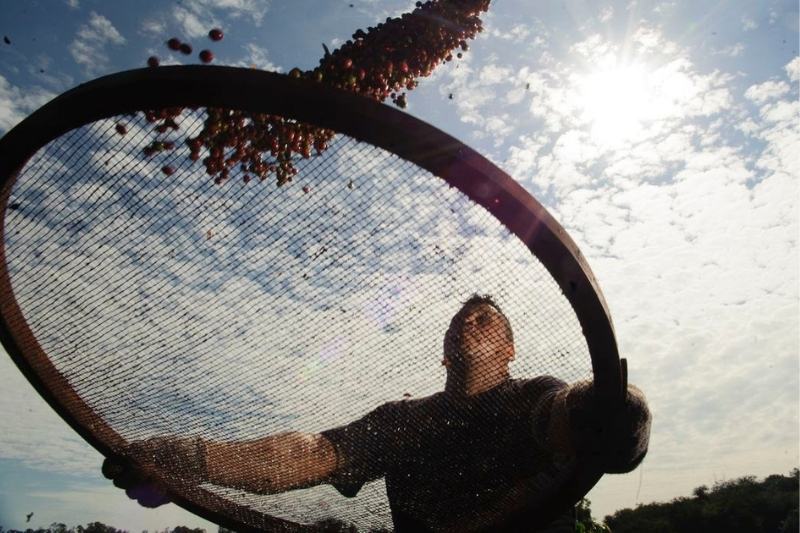 Lula autoriza reciprocidade para ‘fazer andar’ reação a tarifaço