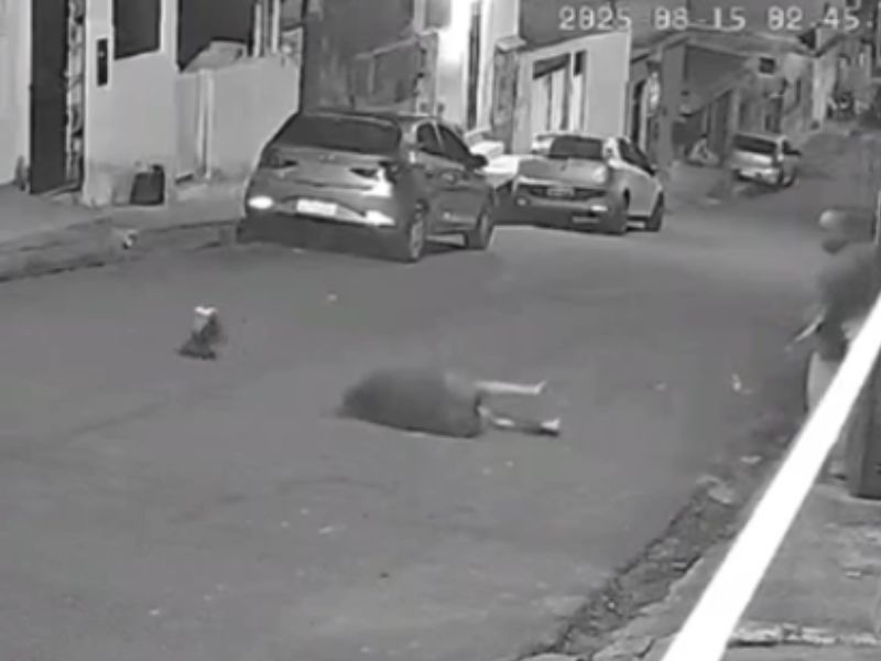 Mulher tem coluna fraturada após agressão do ex-marido