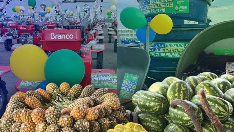 Veja como investimento milionário do Amazonas na produção rural pode revolucionar merenda escolar