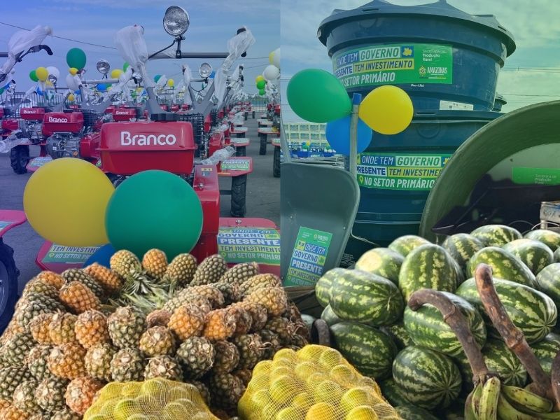 Veja como investimento milionário do Amazonas na produção rural pode revolucionar merenda escolar