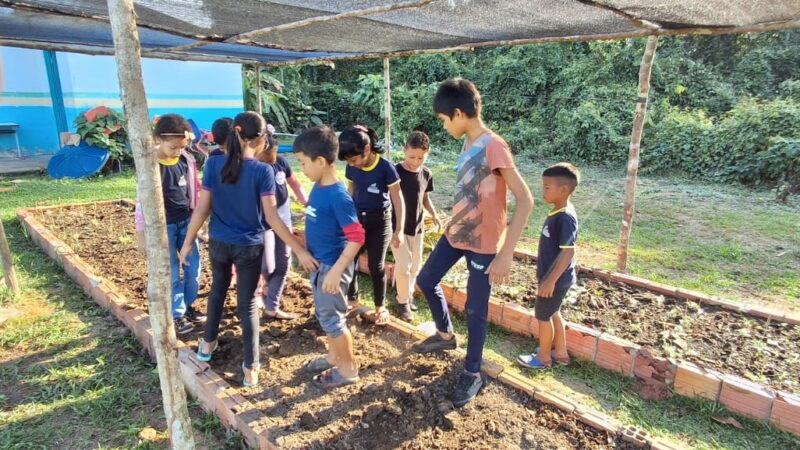 Horta comunitária na escolar do Instituto Thera Amazon, na Escola Municipal José Thomé, localizada no município de Autazes.