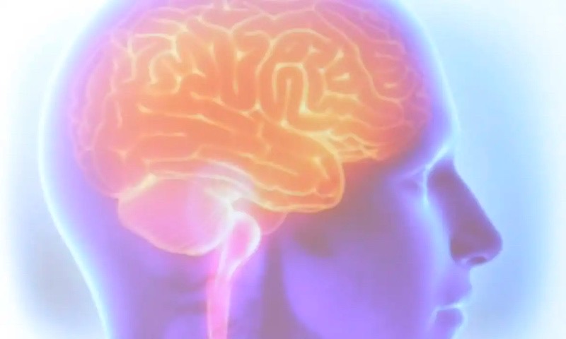 AVC mata uma pessoa a cada seis minutos no Brasil