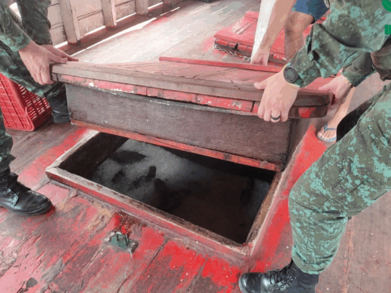 Cinco toneladas de pescado sem documentação foram apreendidas no Educandos