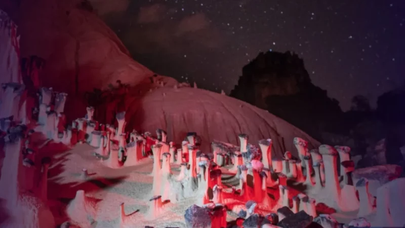 Fenômeno raro no mundo é registrado no nordeste de Goiás e surpreende cientistas