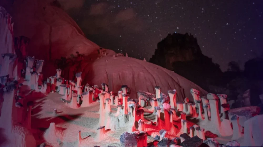 Fenômeno raro no mundo é registrado no nordeste de Goiás e surpreende cientistas