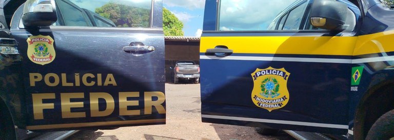 Homem é preso por desmatamento e caça ilegal de aves na BR-174