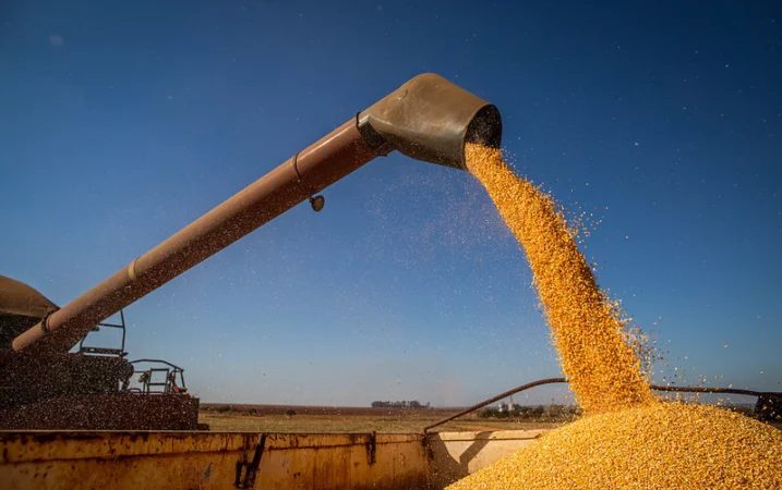 MS tem quatro municípios no ‘top 20’ do agronegócio nacional, aponta estudo