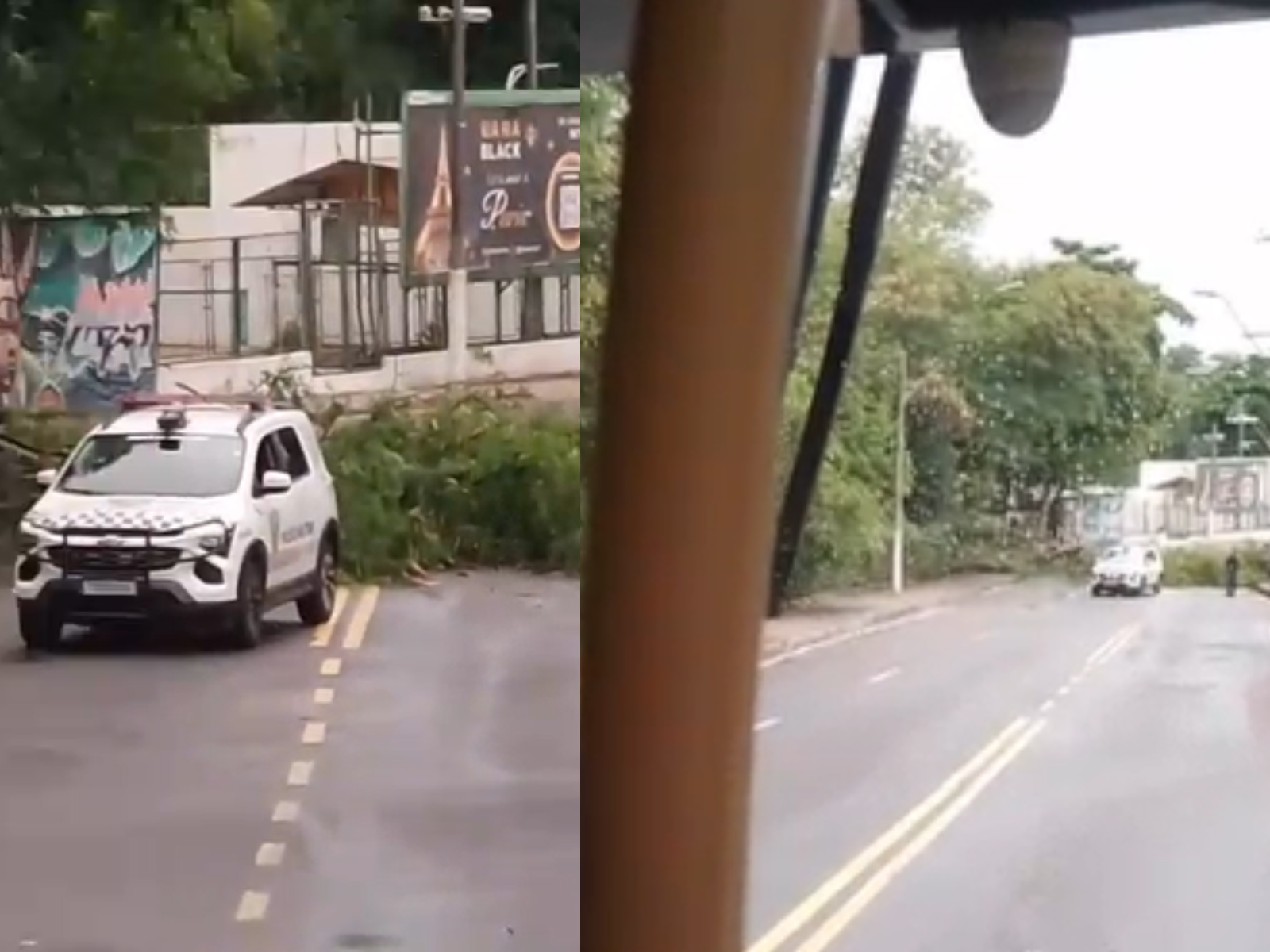 Árvore cai e impede trânsito de veículos na Avenida Maneca Marques, no Parque 10