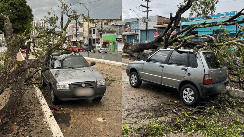 Com fortes chuvas, árvore cai em veículo na Constantino Nery