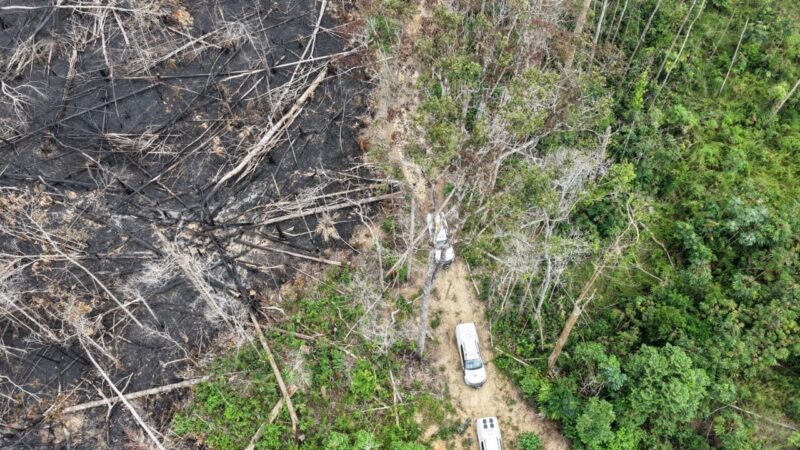Fiscalização ambiental no sul do AM resulta em R$ 13 milhões em multas