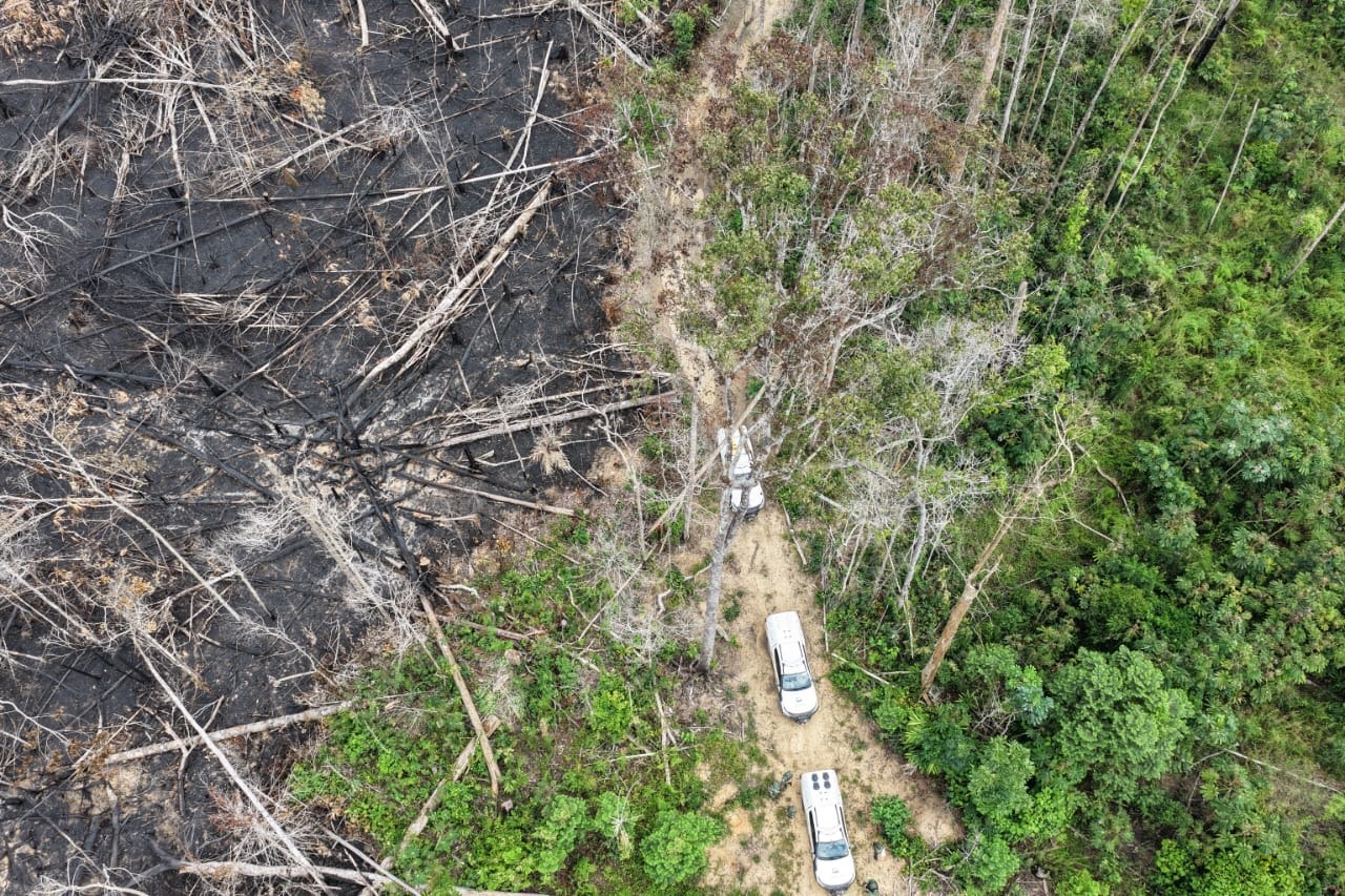 Fiscalização ambiental no sul do AM resulta em R$ 13 milhões em multas