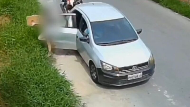 Mãe e filha são identificadas após abandonar filhotes em matagal de Manaus