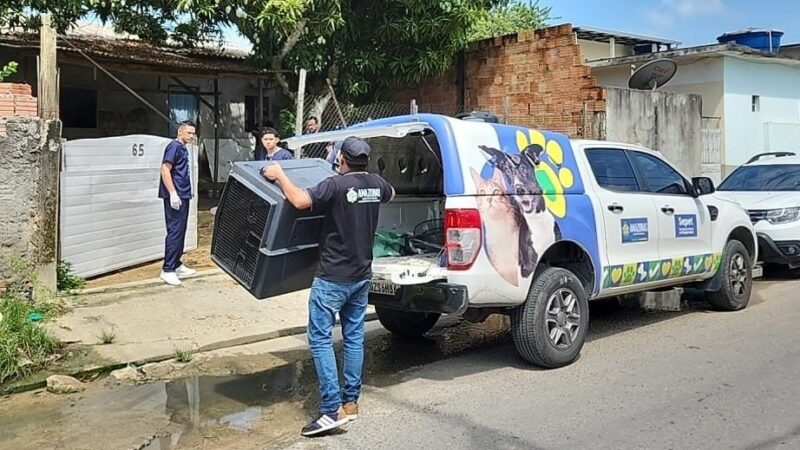 Mulher é presa por maus-tratos a dois cachorros em Manaus