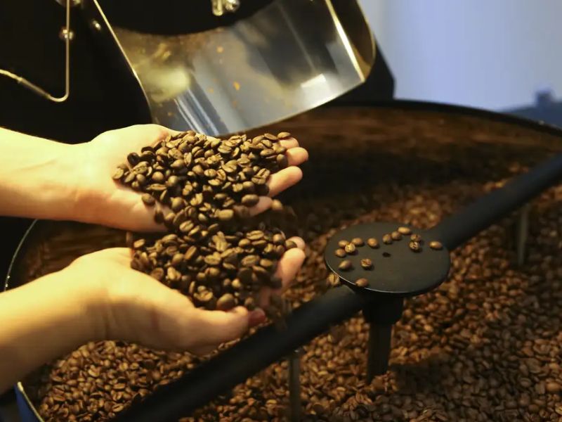 Redução de tarifas nos EUA favorece exportadores brasileiros