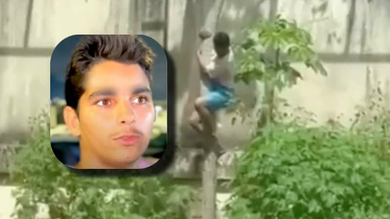 Saiba quem era ‘Vaqueirinho’, o jovem morto por leoa após invadir jaula de zoológico