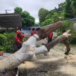Corpo de Bombeiros atendeu 45 ocorrências após forte chuva em Manaus