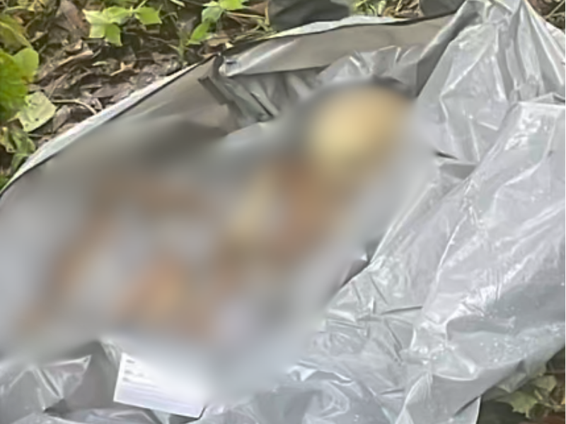 Ossada humana é encontrada em área rural do bairro Tarumã