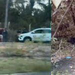 PMs vão investigar corpo desovado e descobrem grupo de “brotheragem” em matagal do Distrito Industrial; veja vídeo