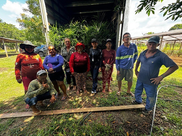 Açaí é oficializado como fruta nacional e cresce no Amazonas