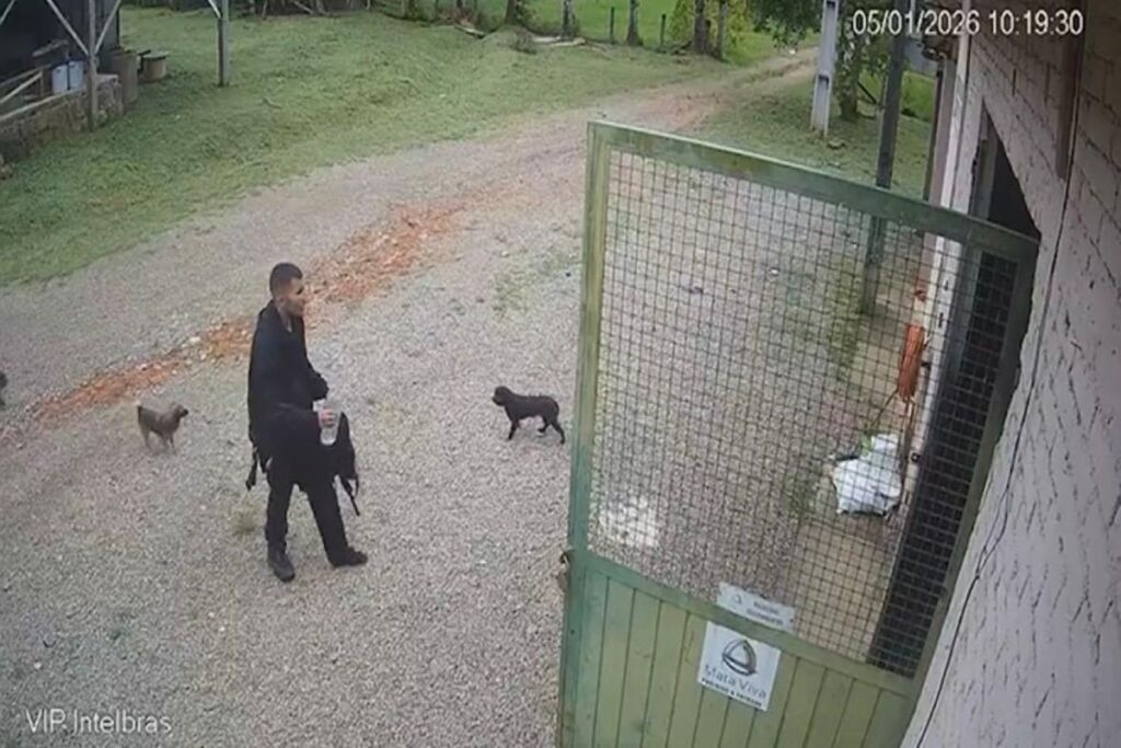 Câmera registra momento que jovem perdido no Pico Paraná chega à fazenda