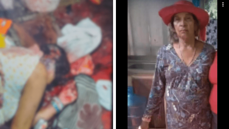 Crime brutal: homem mata idosa a golpes de martelo e dois cachorros no AM