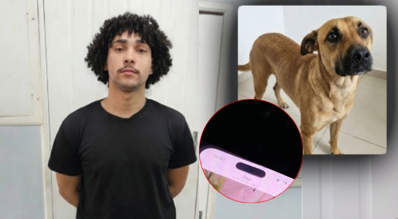 Justiça decreta prisão preventiva de blogueiro que abusou de cadela em Manaus