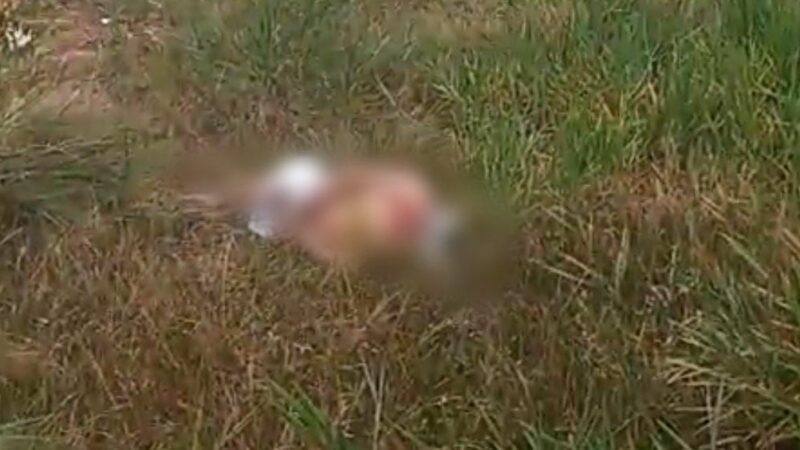 Corpo com mãos e pés amarrados é encontrado no Puraquequara