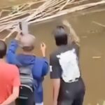 Mulher é atacada e morta por crocodilo gigante enquanto pegava mariscos; veja vídeo